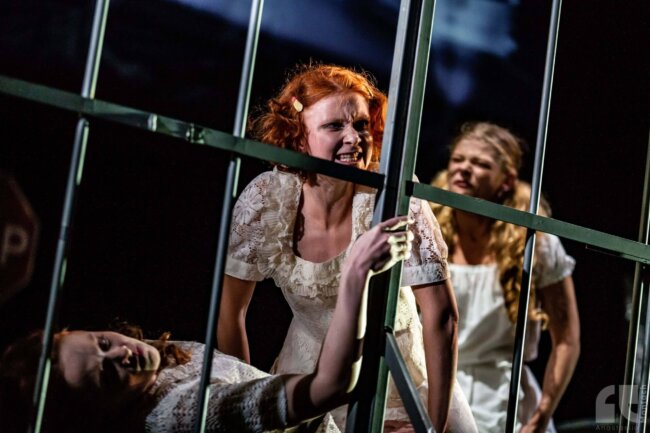 2019-09-25_19-51-39_Mantach-2-min