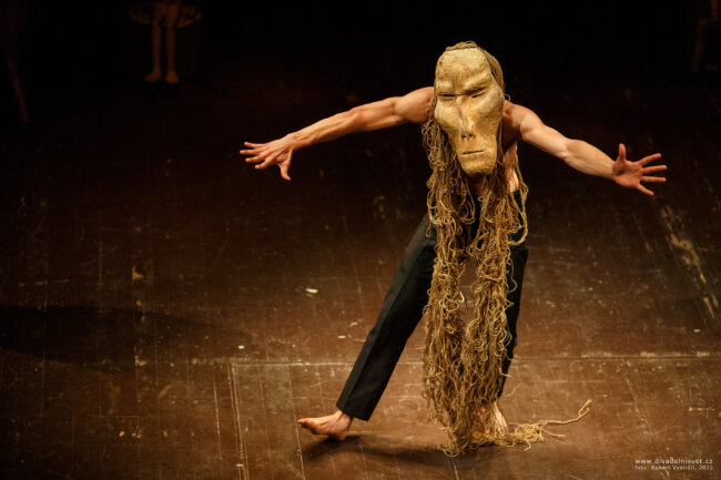 52095007989_ccdcedde86_k